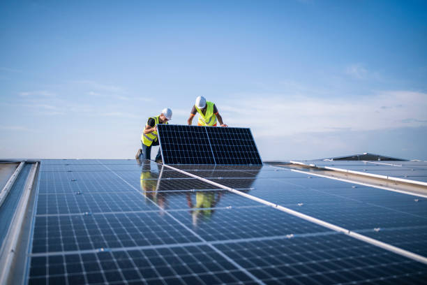Best Roof Coating and Sealing  in Hector, MN