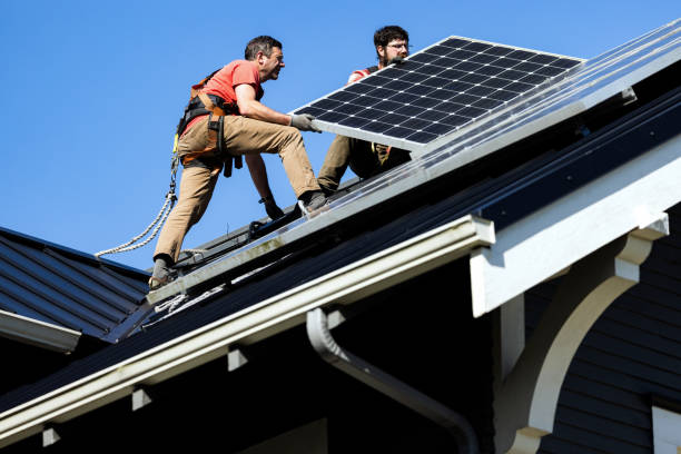 Best Metal Roofing Installation  in Hector, MN